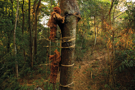 CAMEROUN – Province de l’Adamaoua, près de N’Gaoundal